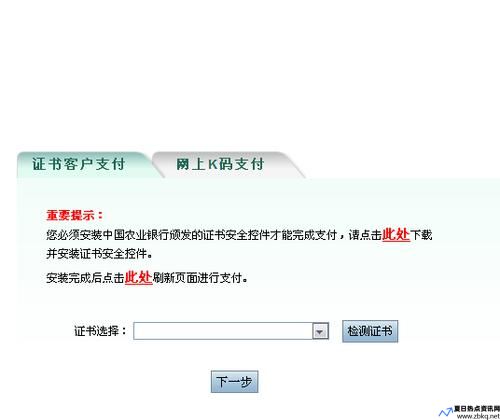 农行网银打不开网页怎么回事2023(农行网银打不开 浏览器)