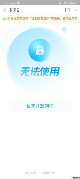 支付宝不可用余额是怎么回事(支付宝不可用余额截图)