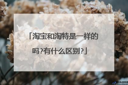 淘宝特卖和淘宝官网一样吗(淘宝和淘宝特价是一家吗)