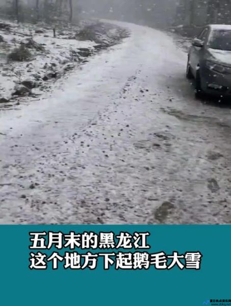 5月漠河有雪吗(黑龙江漠河突降大雪)