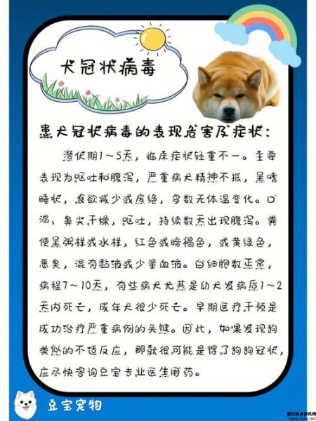 犬冠状病毒怎么治疗(犬冠状病毒怎么引起的)