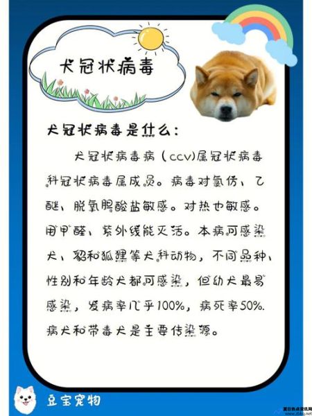 犬冠状病毒怎么治疗(犬冠状病毒怎么引起的)