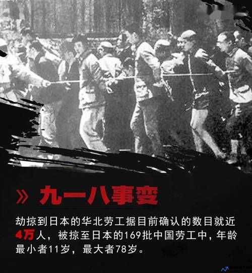 811事件是什么事件(811事件11周年)