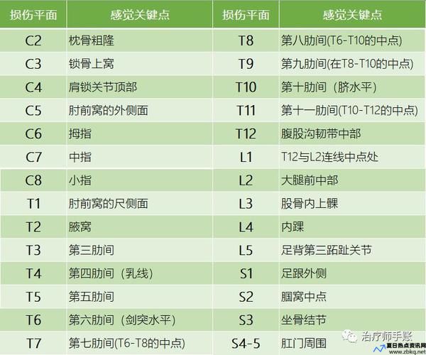 脊髓损伤论坛为啥打不开(脊髓损伤论坛app)