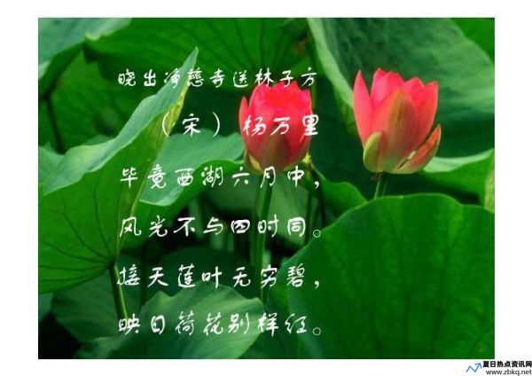 三弄芙蓉的比喻句(三弄芙蓉赣州种植基地在哪里)