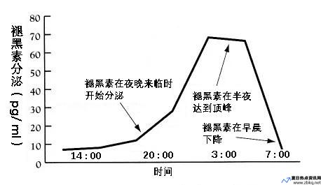 光照影响褪黑素分泌原理吗(光照影响鼠妇的分布实验中的变量)