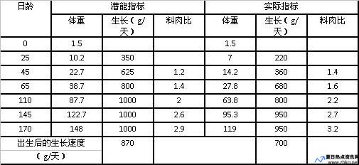 养猪效益好坏的几个指标是什么(养猪效益怎么样)