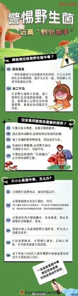 吃野生菌中毒了怎么办(吃了野生菌会怎么样)