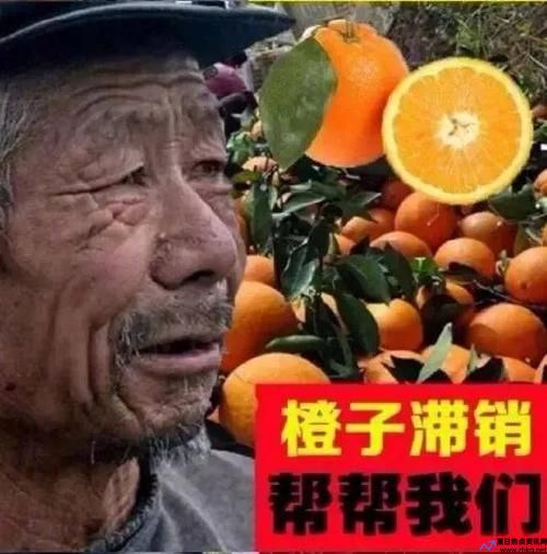 滞销产品是什么意思(什么叫滞销商品)