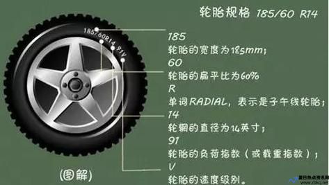 备胎什么意思爱情(全尺寸备胎什么意思)