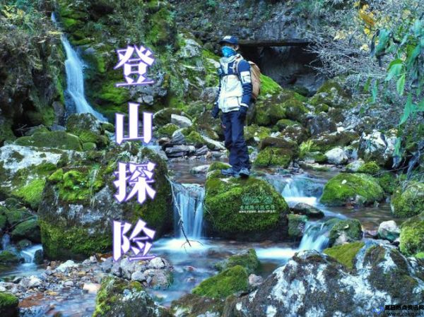 野外探险,我在深山老林探险(野外探险视频恐怖)