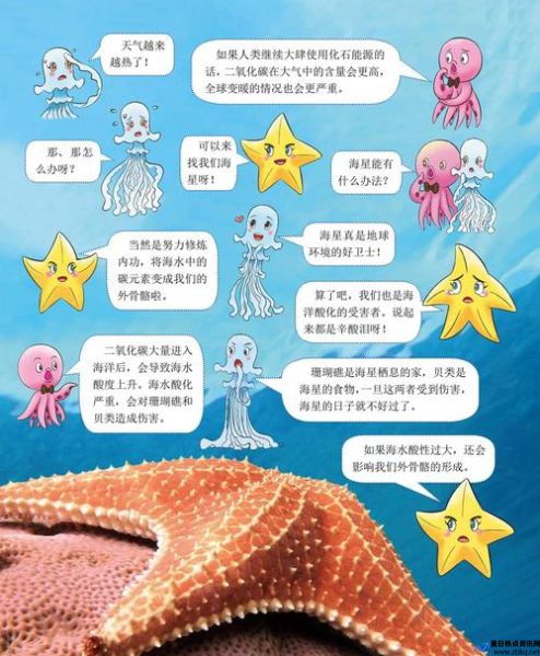 海星的资料小档案(海星的资料5字)