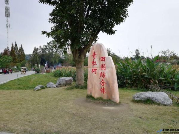 青杠树景区(青杠树图片及价格)