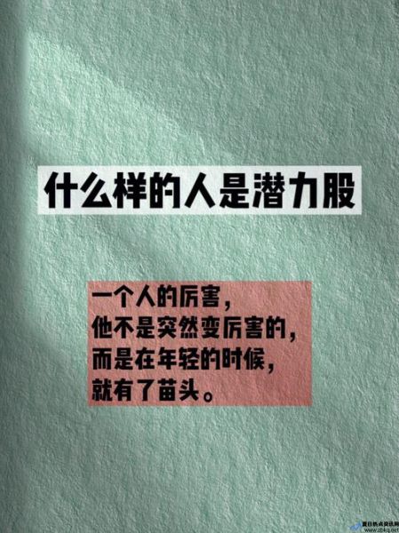 潜力股什么意思百度汉语(潜力股是指什么)