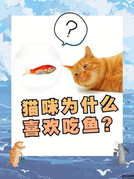 猫咪爱吃鱼的拼音(猫咪爱吃鱼它们吃鱼食也可能被鱼刺卡到吗)