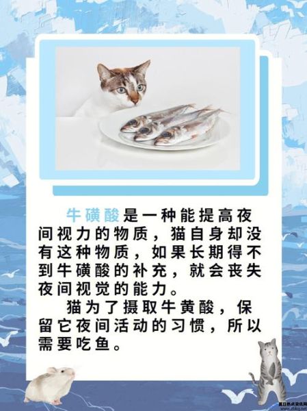 猫咪爱吃鱼的拼音(猫咪爱吃鱼它们吃鱼食也可能被鱼刺卡到吗)