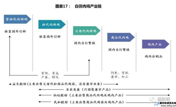 黑客肉鸡产业链(黑客肉鸡 原理)