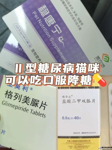 糖尿病广告药(糖尿病广告视频)