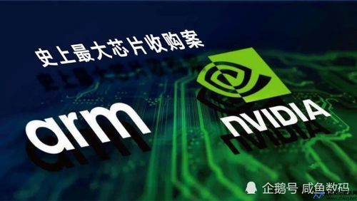 英伟达收购arm(英伟达收购案)