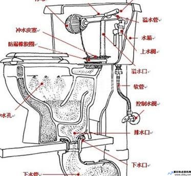 虹吸马桶结构图及故障修理(虹吸马桶原理结构图解)