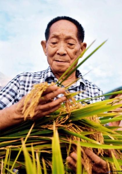 袁隆平出现在屏幕上的照片(袁隆平出现在大屏幕上)