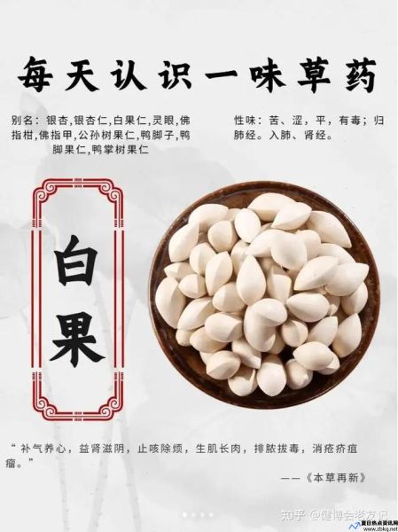 银杏果果实的功效与作用及食用方法(琥珀果仁)