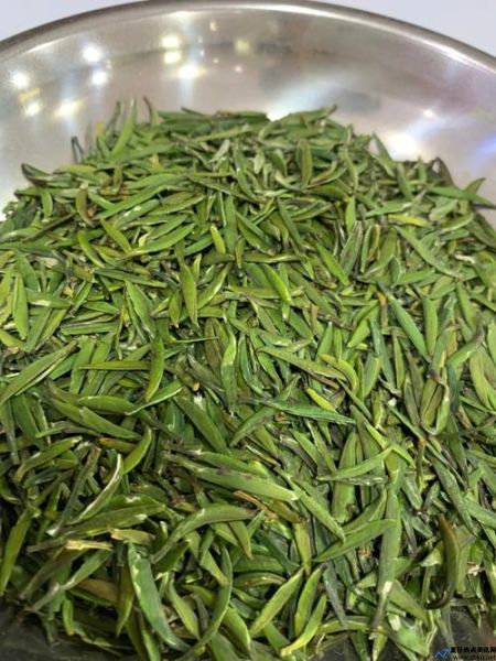 龙芽茶叶属于什么茶(龙芽草)