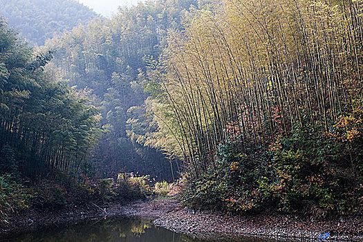 山野林间是什么意思(野山野林檎最后怎么样了)