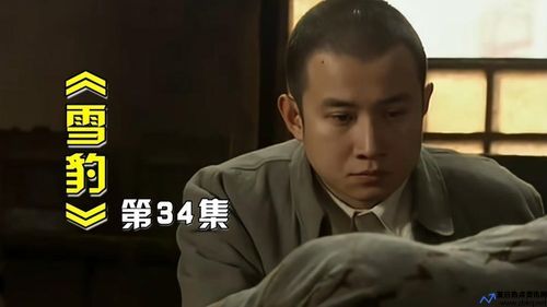 文章演过的电影和电视剧(文章演过的电影作品)