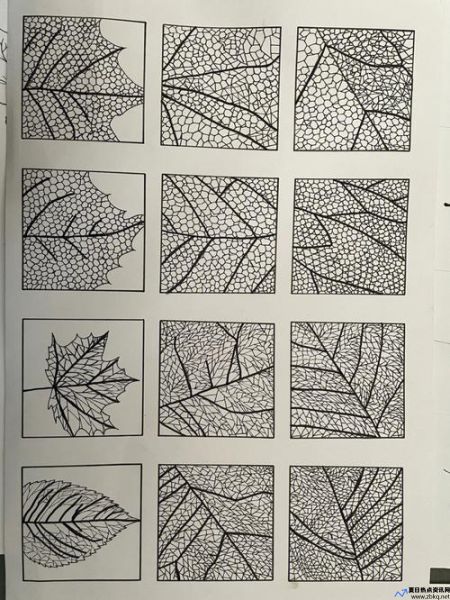 肌理构成优秀作业图片(肌理构成名词解释)