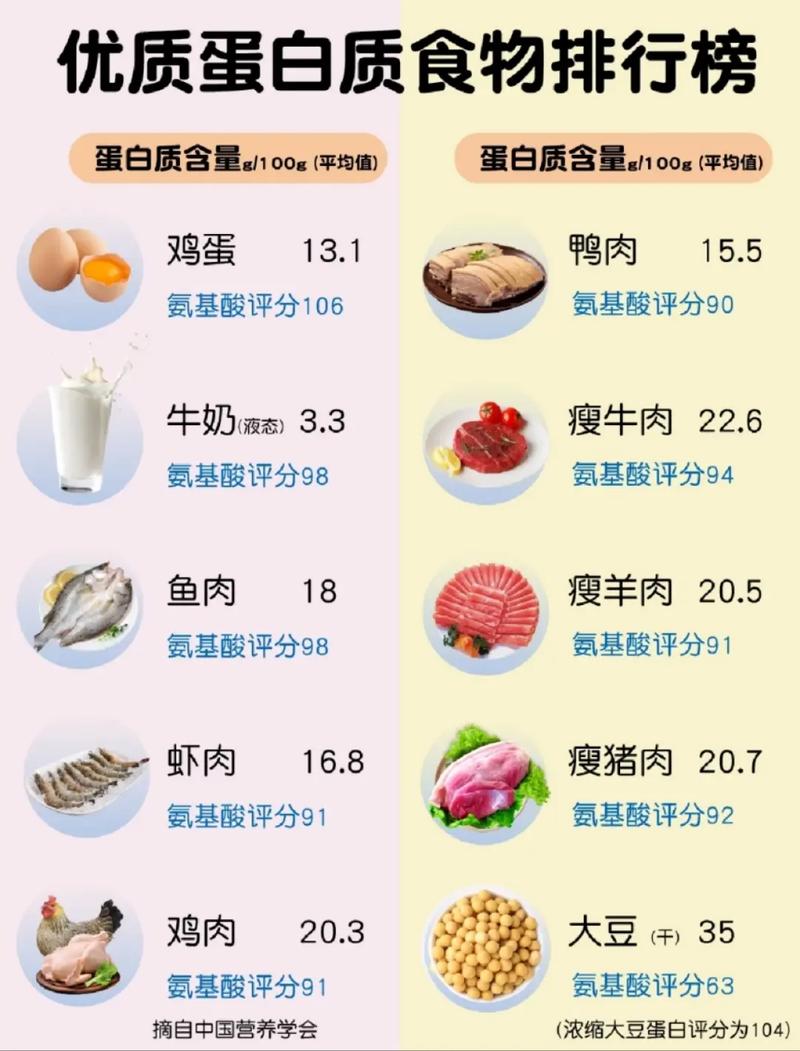  蛋白饮食