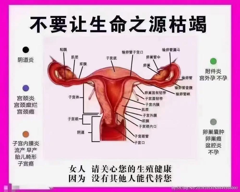  生殖健康