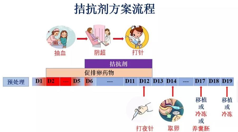 拮抗剂方案