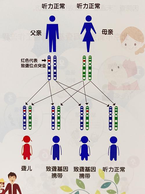 遗传病筛查