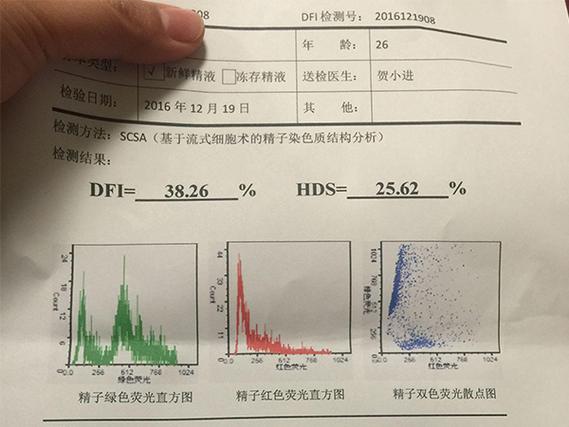 精子 DNA 碎片指数