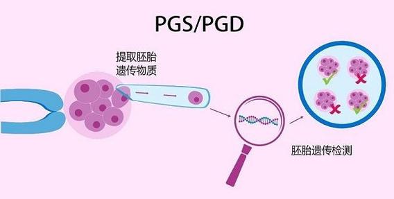 PGD/PGS 技术