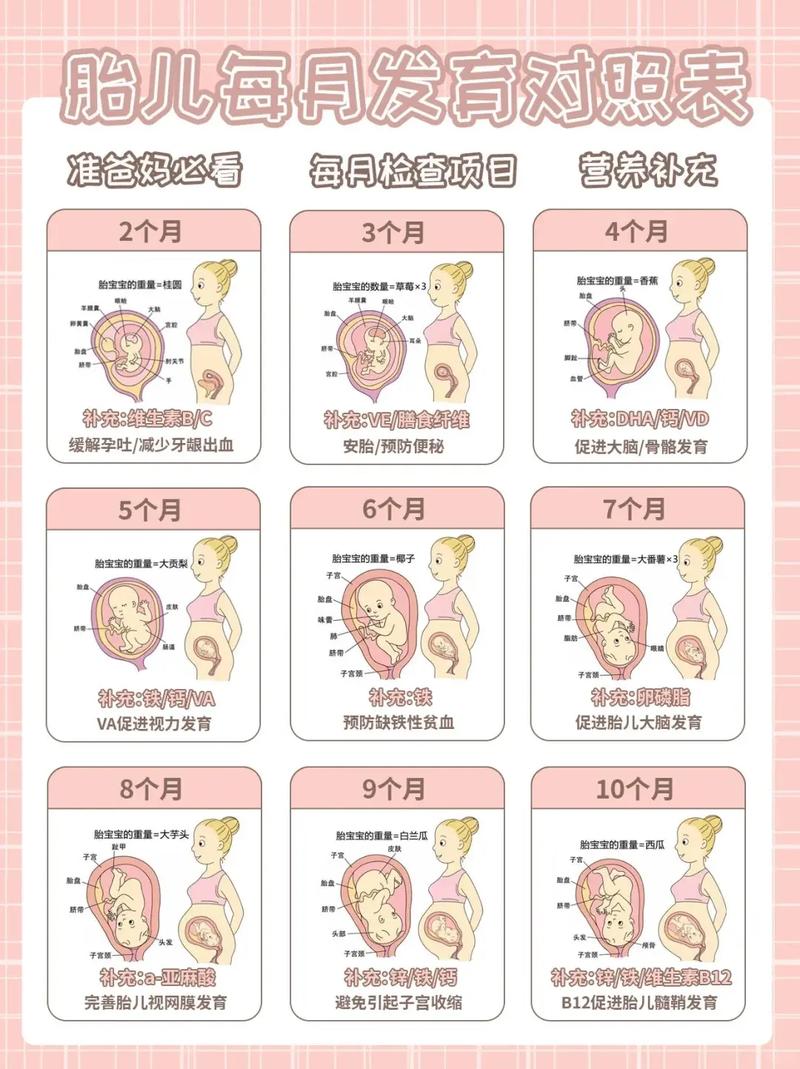 自然受孕宝宝对比