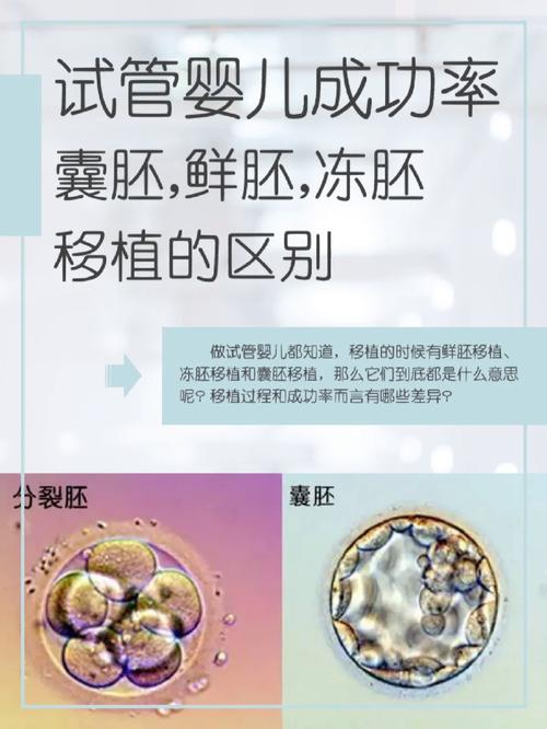 试管婴儿怀孕时囊胚积水过多怎么办？