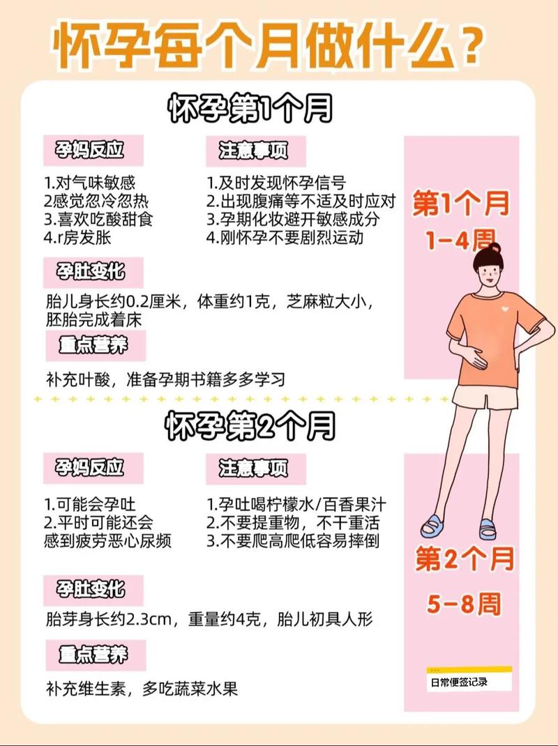 试管婴儿、怀孕注意事项、孕期饮食