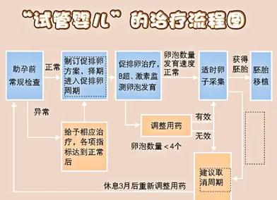 试管婴儿、生殖医疗、工作安排