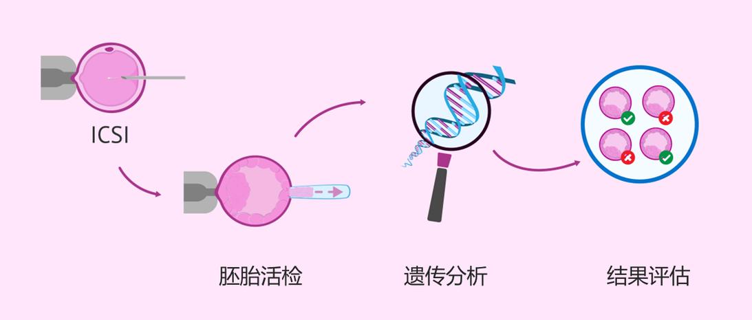  胚胎植入前遗传学检测