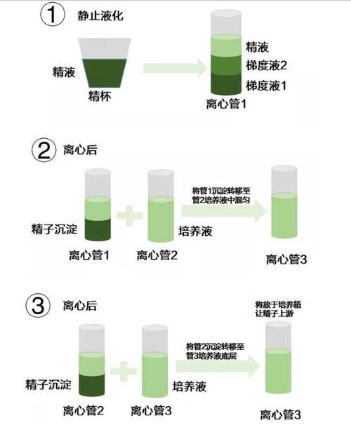 试管婴儿中如何提高精子质量？