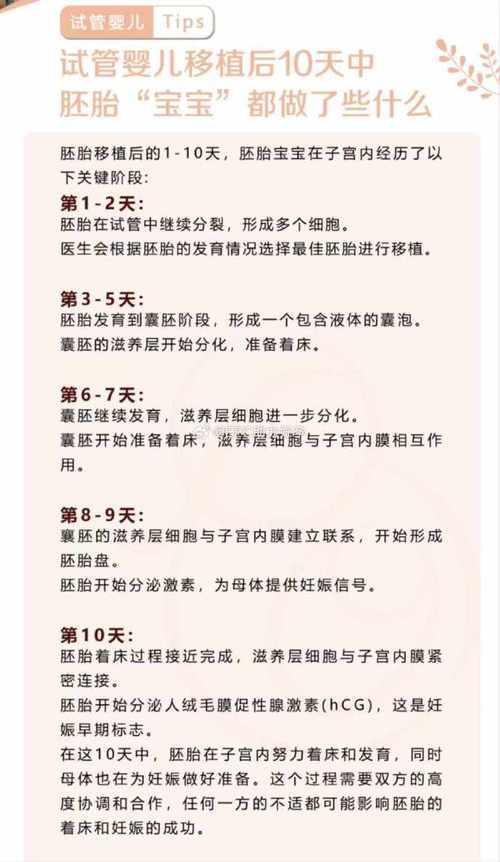 试管婴儿移植后悔真的有解决办法吗？