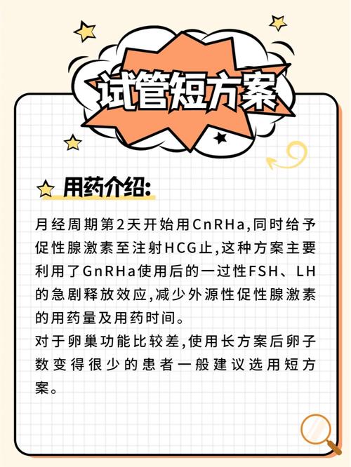 哪些人群通常选择不进行试管婴儿治疗？