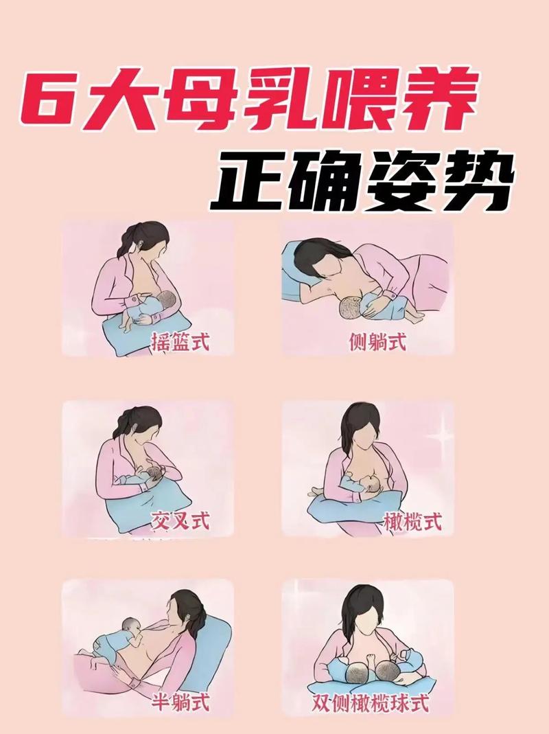 哺乳能力