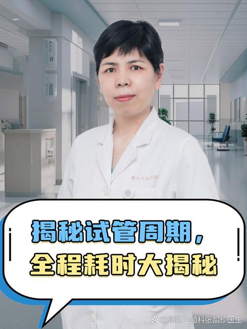 揭秘：怀孕多久适合试管婴儿手术？