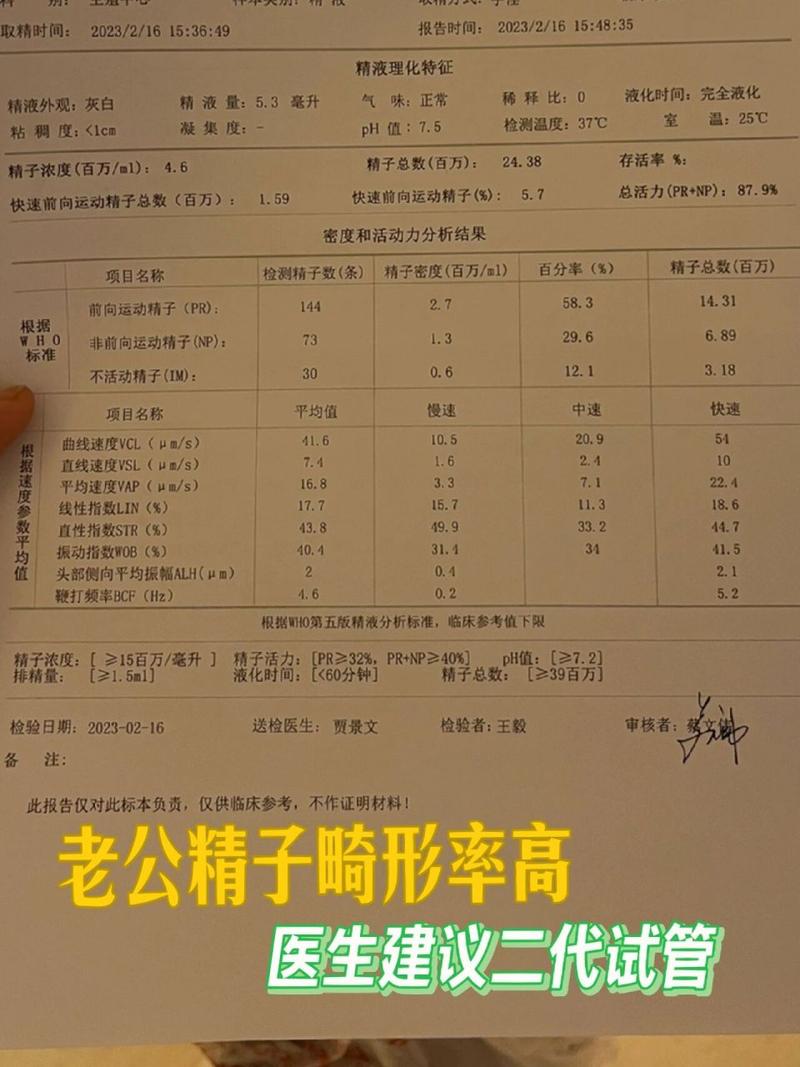 试管婴儿如何通过胶原蛋白提升成功率？