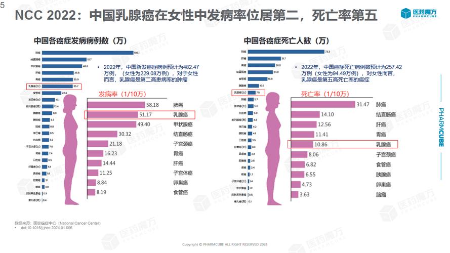 乳腺癌风险