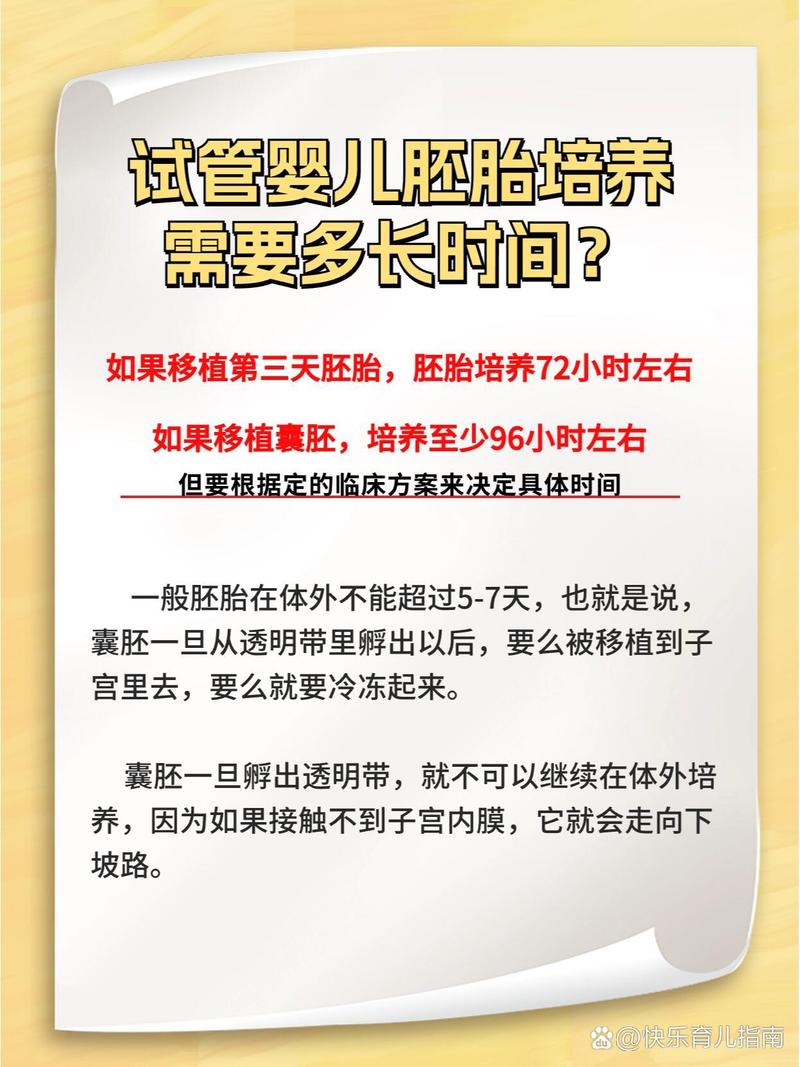 试管婴儿从移植到怀孕多长时间？