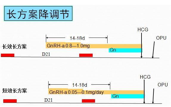 长方案促排卵